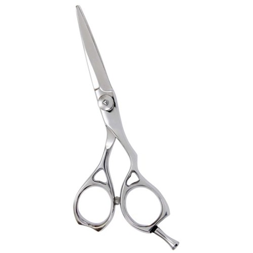 Professional Hair Cutting Scissors